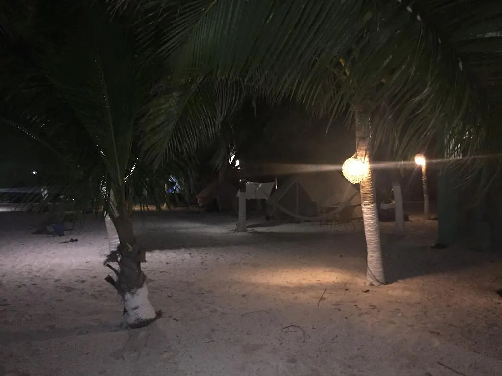 Playa Las Palmas Tulum Mexique